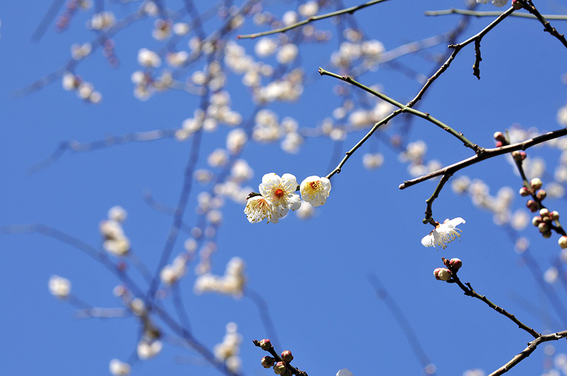 image0267