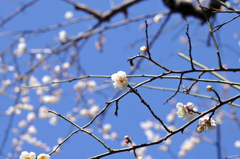 image0268