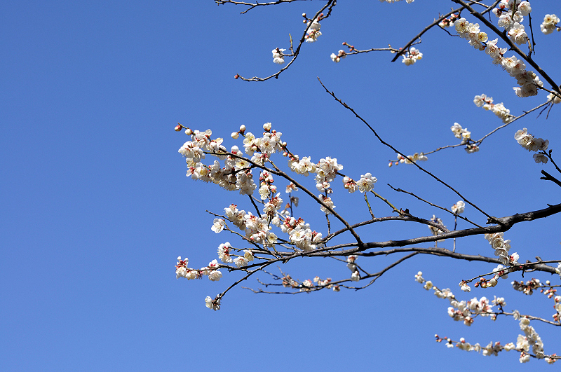 image0269