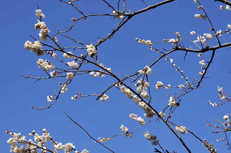 image0270