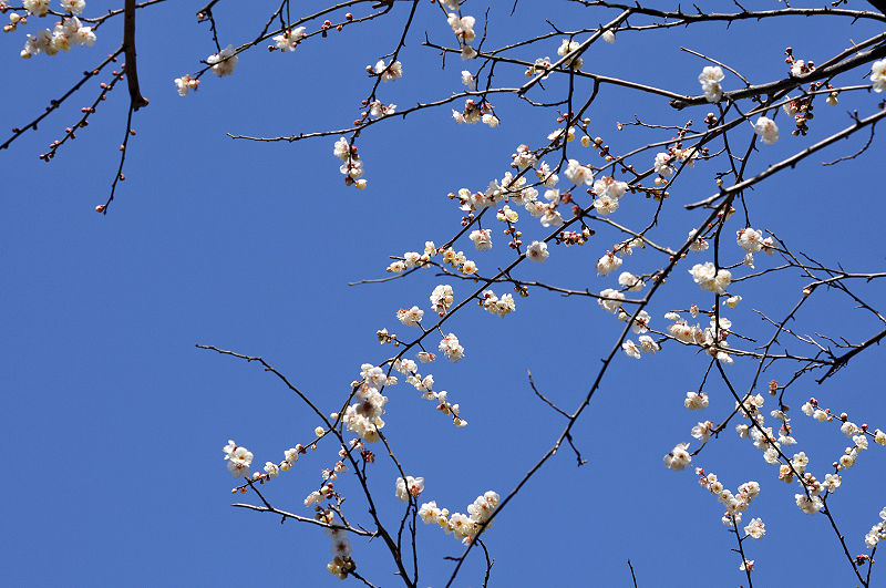 image0271