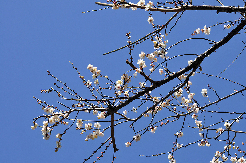 image0272