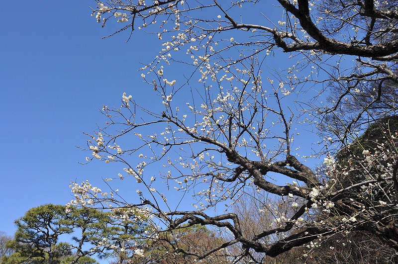 image0273