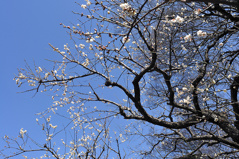 image0274