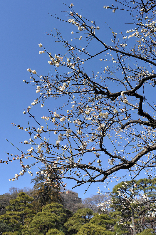 image0277