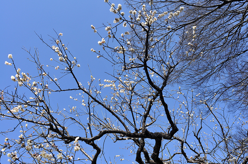 image0278