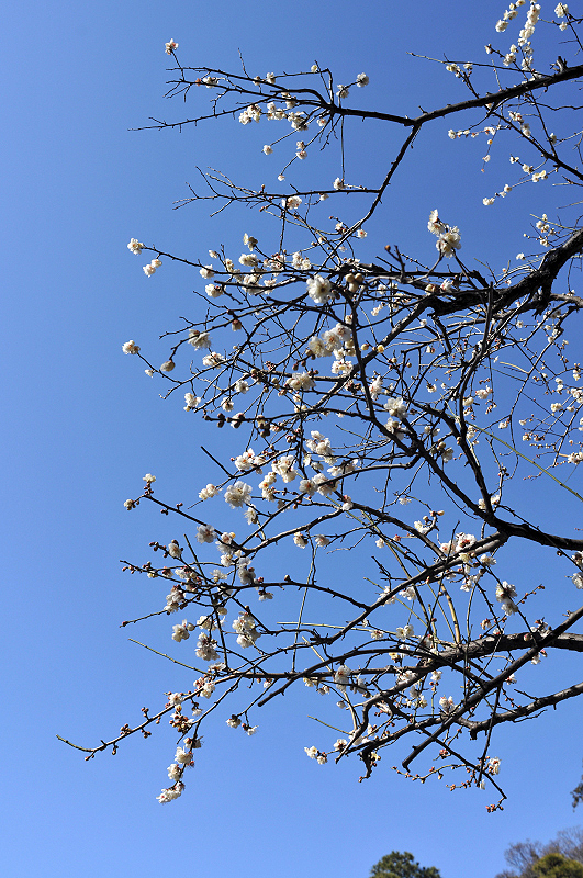 image0279