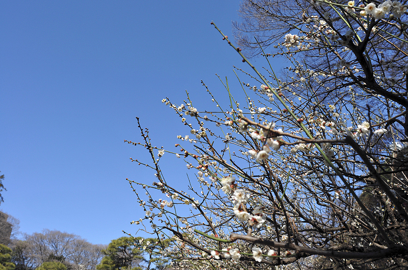 image0280