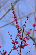 image0133