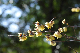 image0135