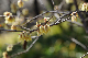 image0136