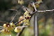 image0137