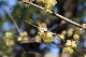 image0138