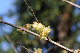 image0139