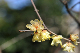 image0140