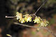 image0141