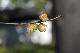 image0142