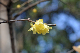 image0143