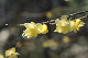 image0144