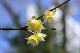 image0145