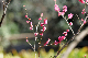 image0146