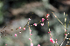 image0148