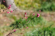 image0149