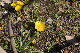 image0152
