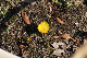 image0153