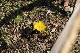 image0154