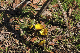image0155