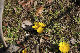 image0156