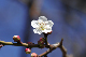 image0157