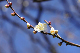 image0158