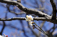 image0159