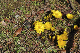 image0160