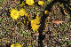 image0161