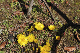 image0162