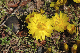 image0163