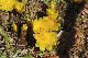 image0164