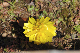 image0165
