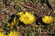 image0166
