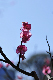 image0167