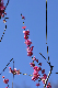 image0170