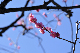 image0173