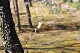 image0176