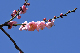 image0179