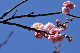 image0180