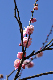 image0181