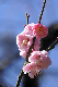 image0183